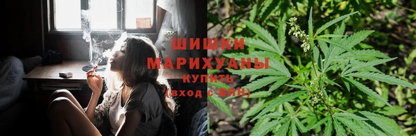 прущие грибы Арсеньев