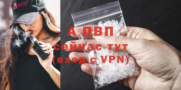 прущие грибы Арсеньев