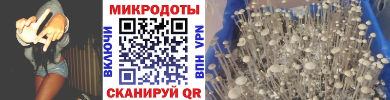 Галлюциногенные грибы MAGIC MUSHROOMS  где купить наркоту  Барабинск 